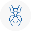 Ant Removals In Bishops Waltham