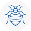 Bed Bug Extermination In Bishops Waltham