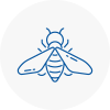Bee Nest Removal Bishops Waltham