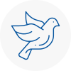 Bird Prevention Bishops Waltham