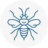 Bishops Waltham Hornet Nest Removals