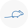 Mice Exterminators In Bishops Waltham
