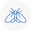 Moth Control Specialists In Bishops Waltham