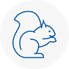 Bishops Waltham Rodent Removals